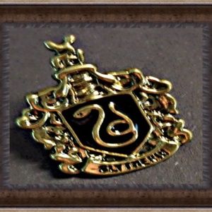 Syltherin Crest Inspired Design Tie Pin For Men
